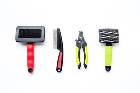 pet care and grooming tools on white background top view mock upの写真素材