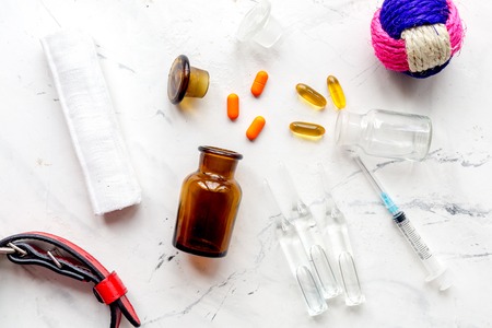 concept pets care treatment on stone background top viewの写真素材