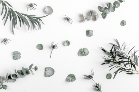 Modern spring design with plants on white background top view patternの写真素材