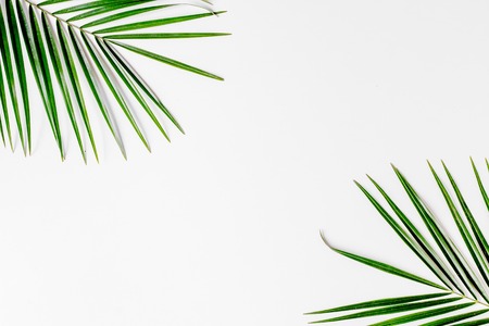 Spring with morden herbal mockup on white background top viewの写真素材
