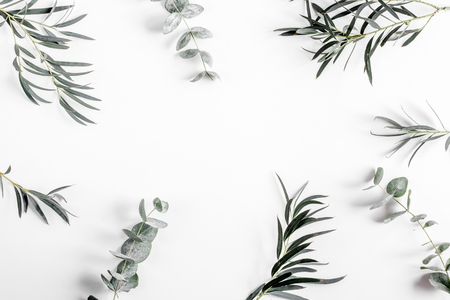 Trendy design with eucalyptus pattern on white desk background top view mock upの写真素材