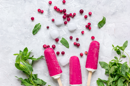 frozen cowberry and fruit ice-cream on gray table background top viewの写真素材