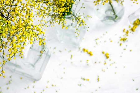 mimosa in glass vase on white background top viewの写真素材
