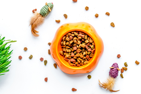 Dry cat food in bowl on white  top viewの写真素材
