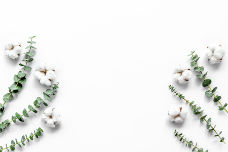 Flowers composition on white desk with fresh eucalyptus branches and cotton. Flat lay, top view, copy spaceの写真素材