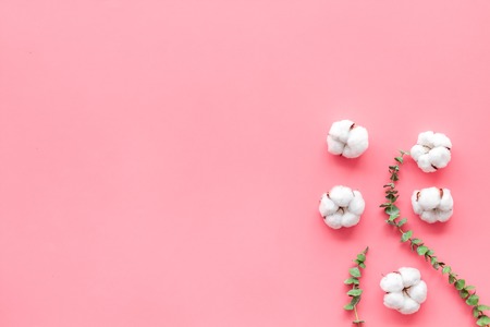 Natural flowers composition with eucalyptus branches and cotton on pink background top view, flat...