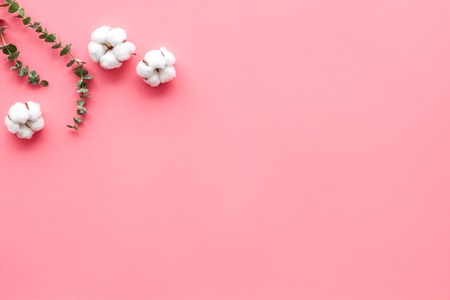 Composition with eucalyptus branches and cotton flowers on pink background top view, flat lay space for textの写真素材