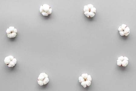 Cotton flowers frame on grey background top view copy spaceの写真素材
