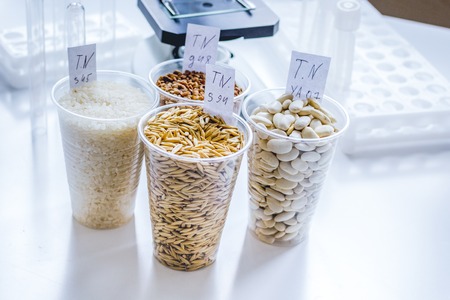 Tests for pesticides in cereal in at laboratory