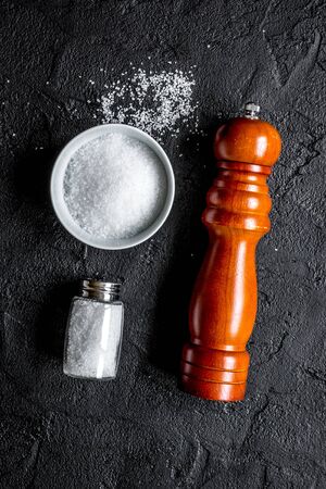 Spices set with salt and saltcellar for cooking on stone kitchen table background top viewの写真素材