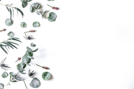 floral concept with green leaves and spring card on white table background top view mock-upの写真素材