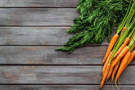 Bunch of fresh carrots with green tops form above.