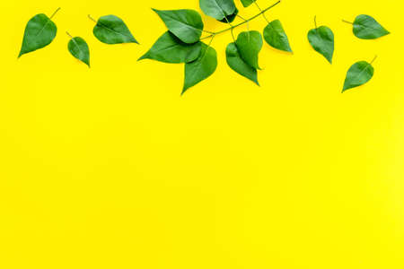 Green leaves background above view. Lauout of green leaves