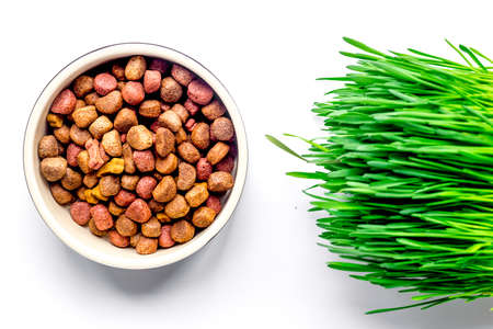 dry dog food in bowl on white background top view