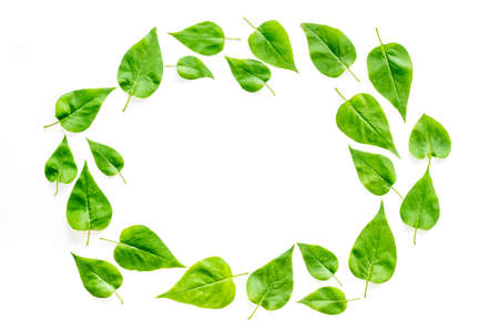Top view frame of green leaves. Nature concept layout