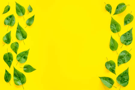Top view frame of green leaves. Nature concept layout