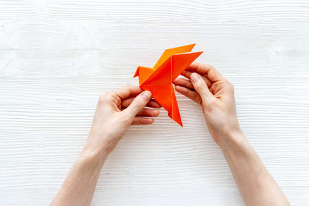 Origami bird in female hands. Care peace concept. Top view
