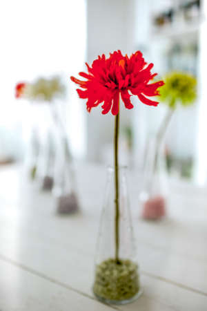 Red flower as decorative elementsの写真素材