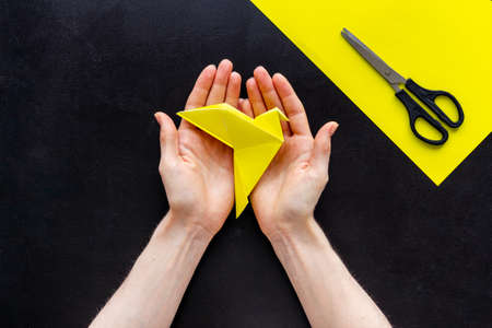 Origami bird in female hands. Care peace concept. Top viewの写真素材