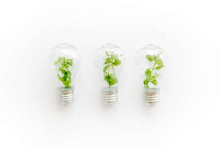 Lightbulb with plant - saving energy concept. Top viewの写真素材