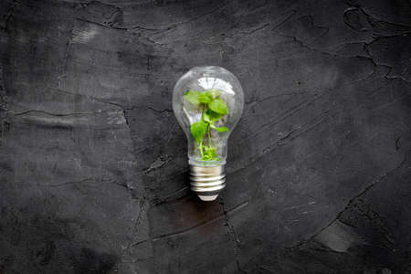 Light bulb with green grass - renewable energy eco concept