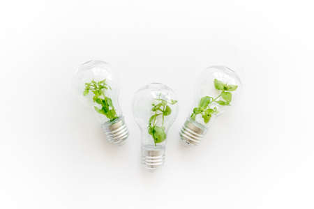 Renewable eco energy concept with light bulbs and green plant insideの写真素材