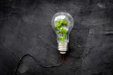 Renewable eco energy concept with light bulbs and green plant insideの写真素材