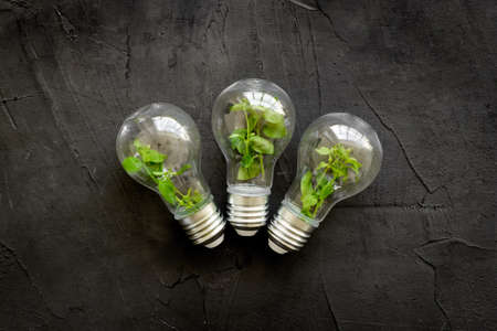 Green energy eco concept with grass in bulb, top viewの写真素材