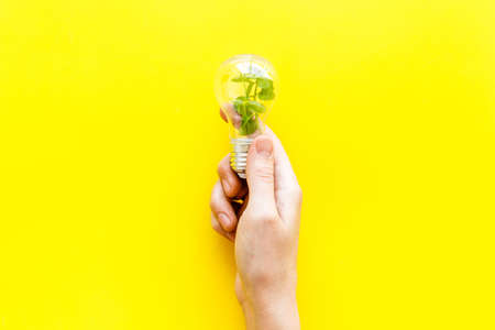 Hand holds light bulb with grass inside - green energy concept, top viewの写真素材