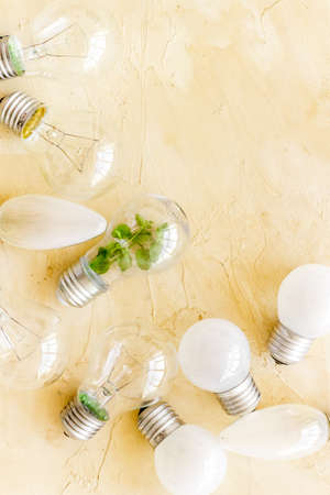 Renewable eco energy concept with light bulbs and green plant insideの写真素材