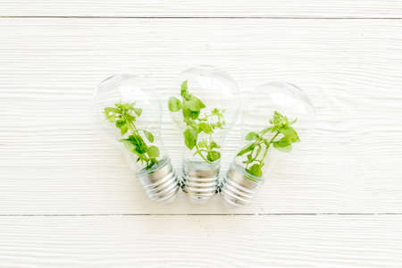 Light bulb with green grass - renewable energy eco conceptの写真素材