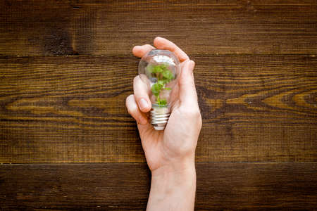 Hand holds light bulb with grass inside - green energy concept, top viewの写真素材