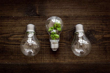 Lightbulb with plant - saving energy concept. Top viewの写真素材