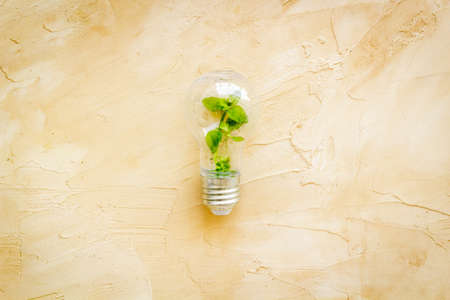 Energy saving light bulb with green plant inside, top view