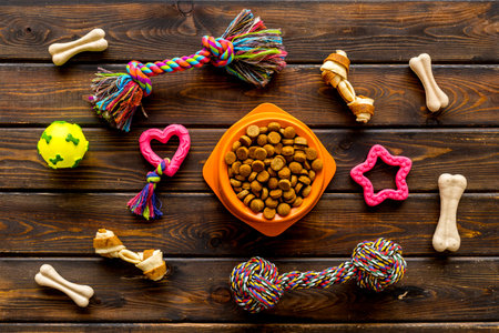 Pet toys and dry food for dogs and cats. Top viewの写真素材