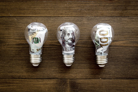 Green renewable energy eco concept with bulb and money insideの写真素材