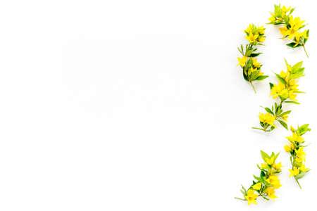 Floral pattern of yellow flowers with leaves, top view