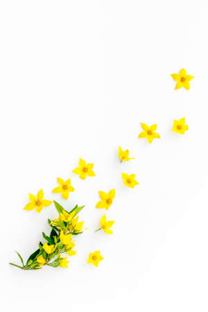 Floral background of yellow flowers with leaves, overhead viewの写真素材