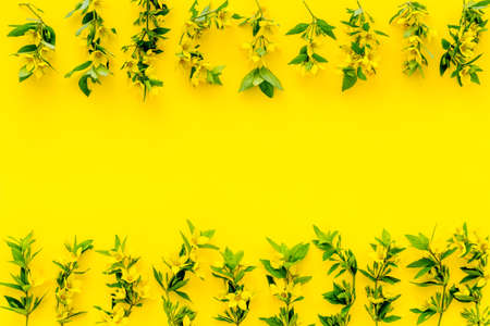 Flowers pattern. Flat lay of yellow flowers with leaves, top viewの写真素材
