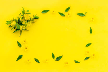 Spring card mockup with yellow flowers with leaves, top viewの写真素材