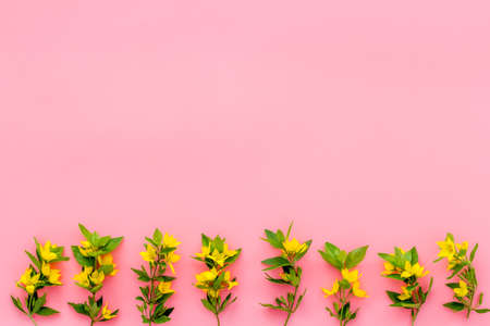 Pattern of yellow flower buds, overhead viewの写真素材