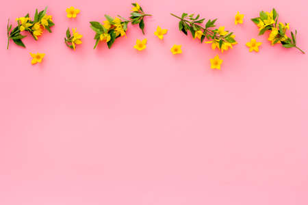 Floral pattern of yellow flowers with leaves, top viewの写真素材
