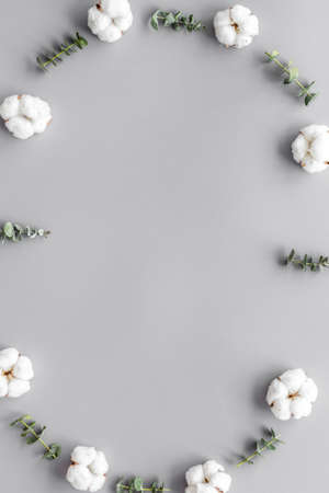 Flowers frame with fresh eucalyptus branches and cotton on grey background top view space for textの写真素材
