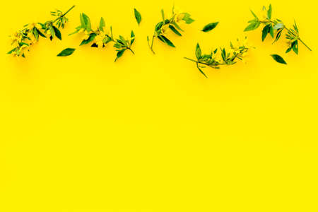 Floral background of yellow flowers with leaves, overhead viewの写真素材