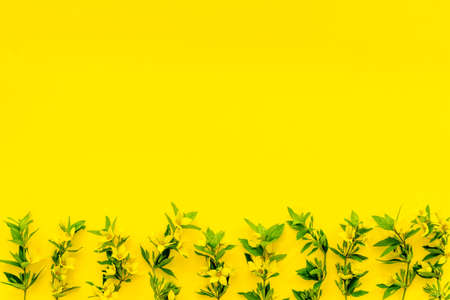 Pattern of yellow flower buds, overhead view