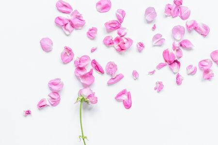 Spring trendy design with flowers on white table background top view mock upの写真素材