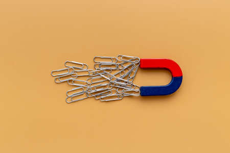 Horseshoe magnet collecting paper clips. Top view