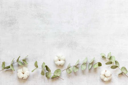 Floral flat lay pattern with eucalyptus leaves and cottonの写真素材