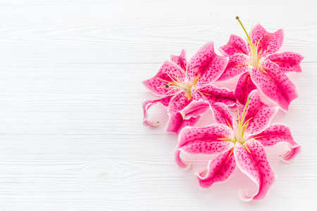 Pink purple lily blossom flowers. Floral pattern