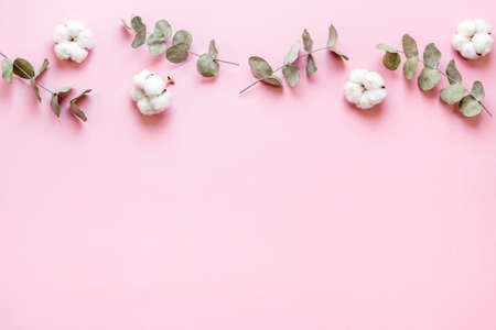 Floral flat lay pattern with eucalyptus leaves and cottonの写真素材